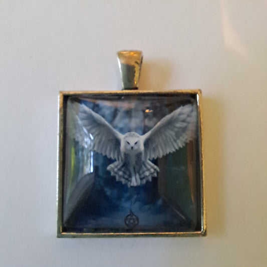 Flying Owl Glass Cab